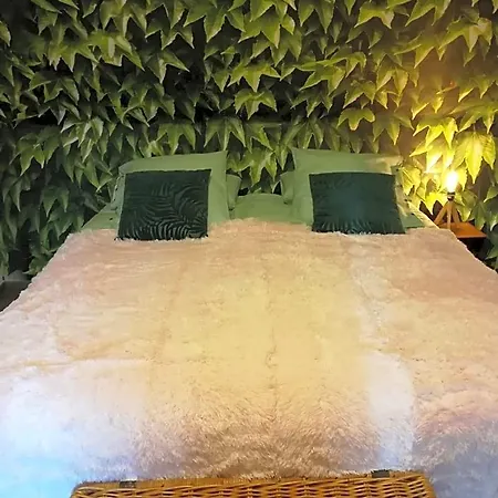 Bed & Breakfast Lait & Lit