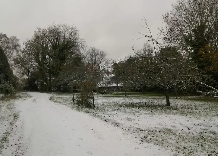 Bed and breakfast Lait & Lit Triqueville